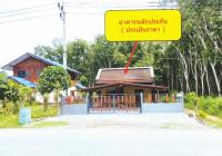 ขายบ้านเดี่ยว หลักช้าง  นครศรีธรรมราช ขนาด 54.9 ตร.ว. ของ ธนาคารอาคารสงเคราะห์