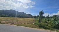 ขายที่ดินว่างเปล่า